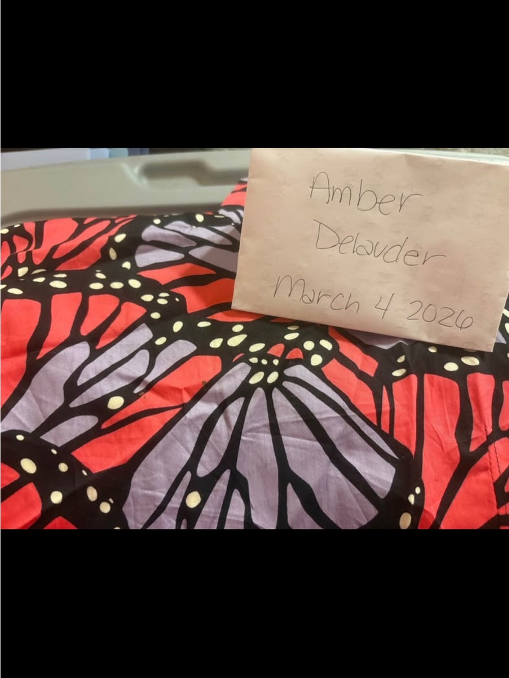 Butterfly Scrub Top